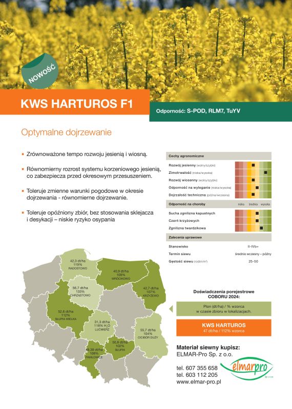 Nowa odmiana rzepaku  KWS Harturos!